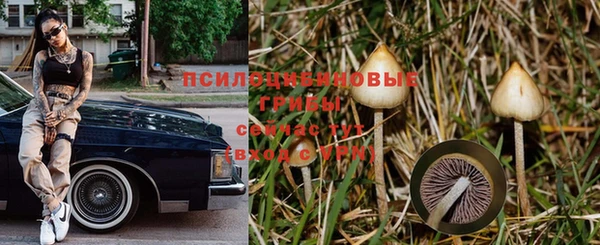 прущий лед Волосово