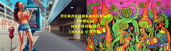 ГАЛЛЮЦИНОГЕННЫЕ ГРИБЫ Волоколамск