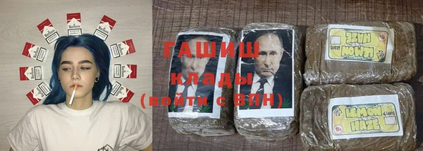 стаф Вязьма