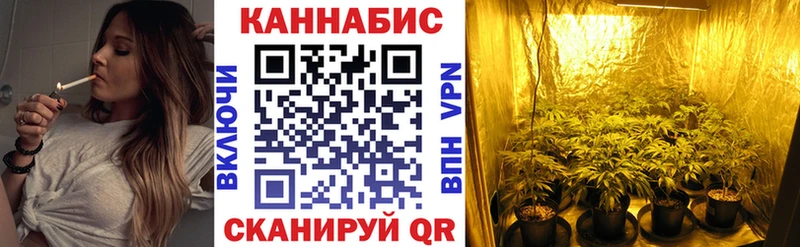 Бошки марихуана семена  Шебекино 